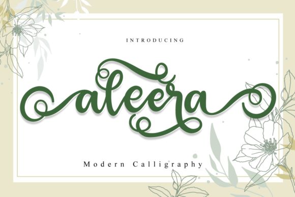 Aleera: The Elegant Script Font for Web Design