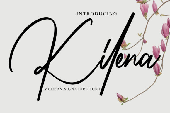 Enhance Your Web Design with Kilena Font