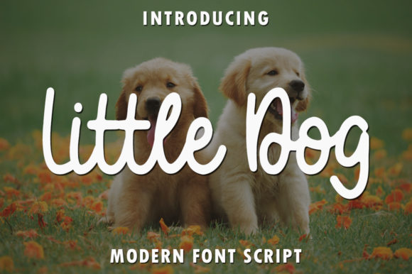Little Dog: A Handwritten Font for Editorial Charm