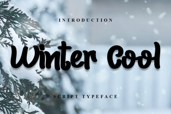 Winter Cool: A Stylish Handwritten Font for Marketers